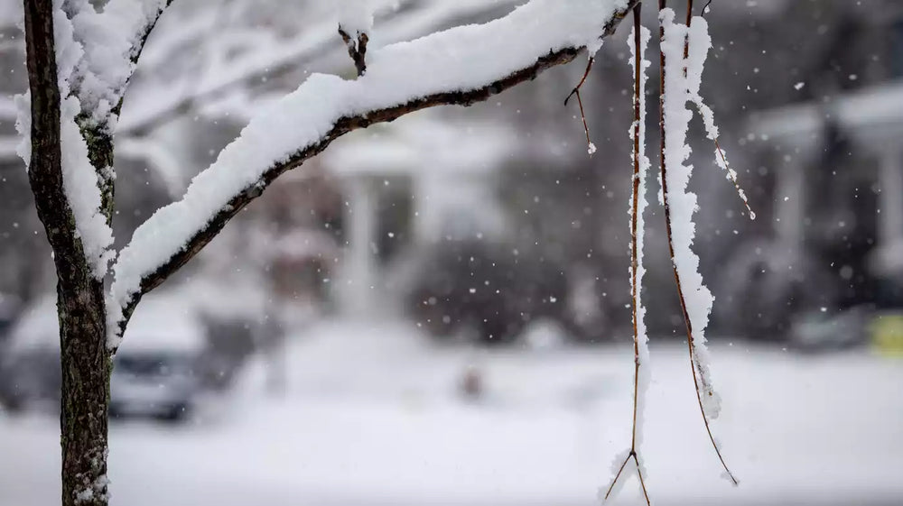6 Ways to Prepare for a Snow Storm